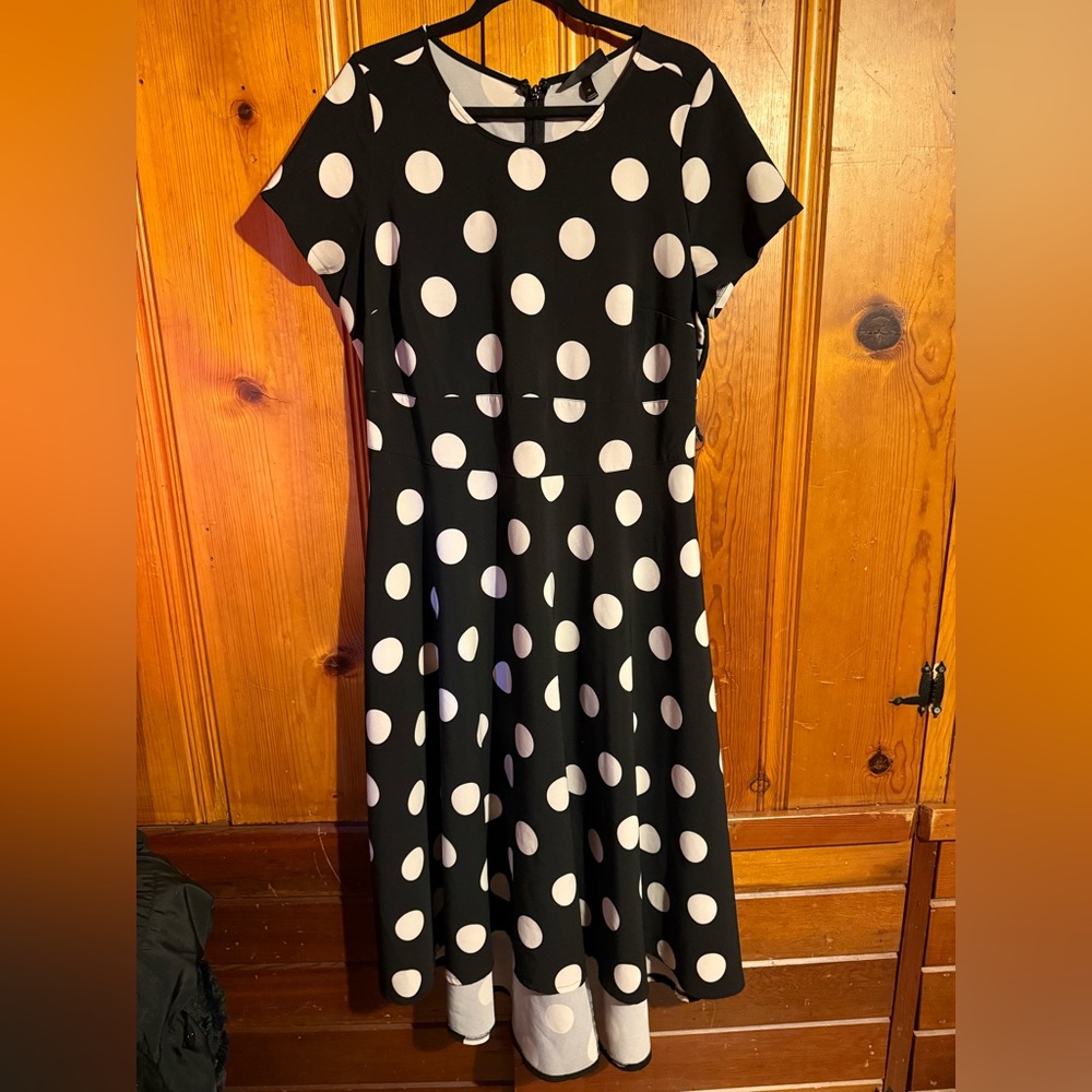 Lane Bryant Size 16 Polkadot High Low Dress in GUC
